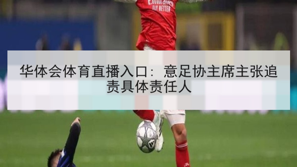 华体会体育直播入口: 意足协主席主张追责具体责任人